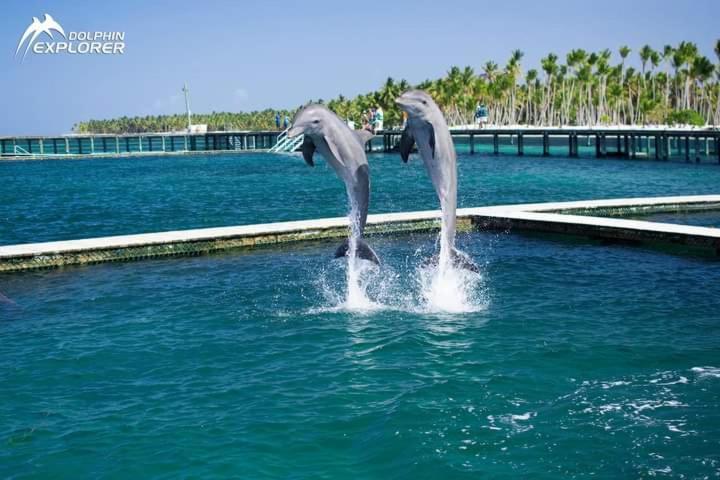 Punta Cana Sol Caribe Beach Pool Exterior photo